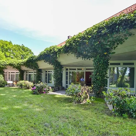 Emsland Saller 3*