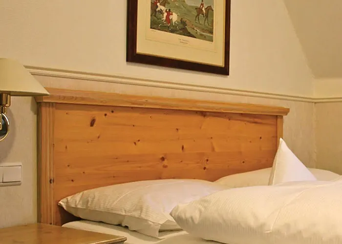 Emsland Saller Hotel 3*